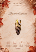 Brownie Camaïeu